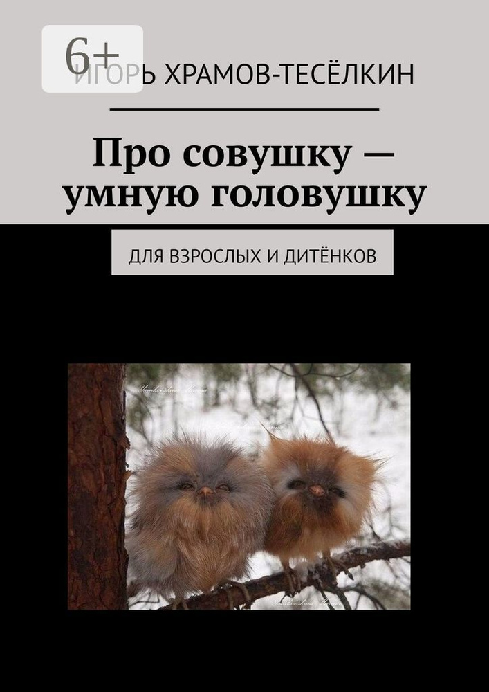 Про совушку - умную головушку. Для взрослых и дитёнков | Храмов-Тесёлкин Игорь  #1