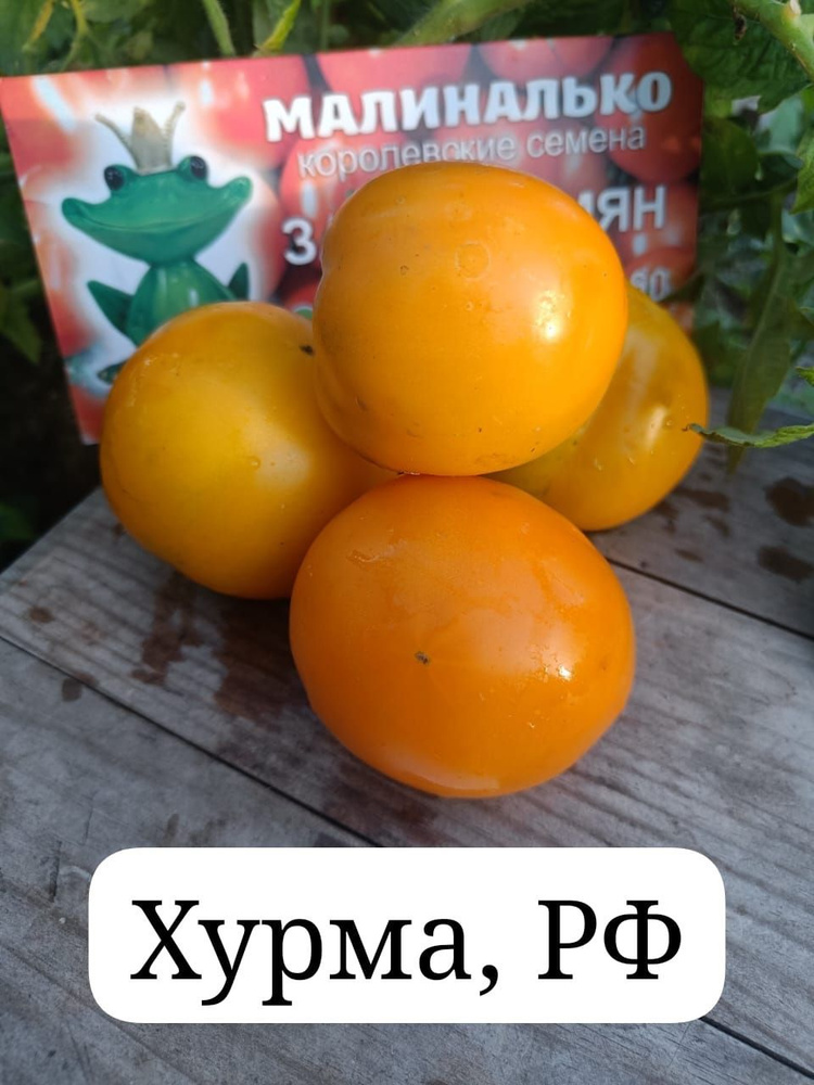 Семена #1