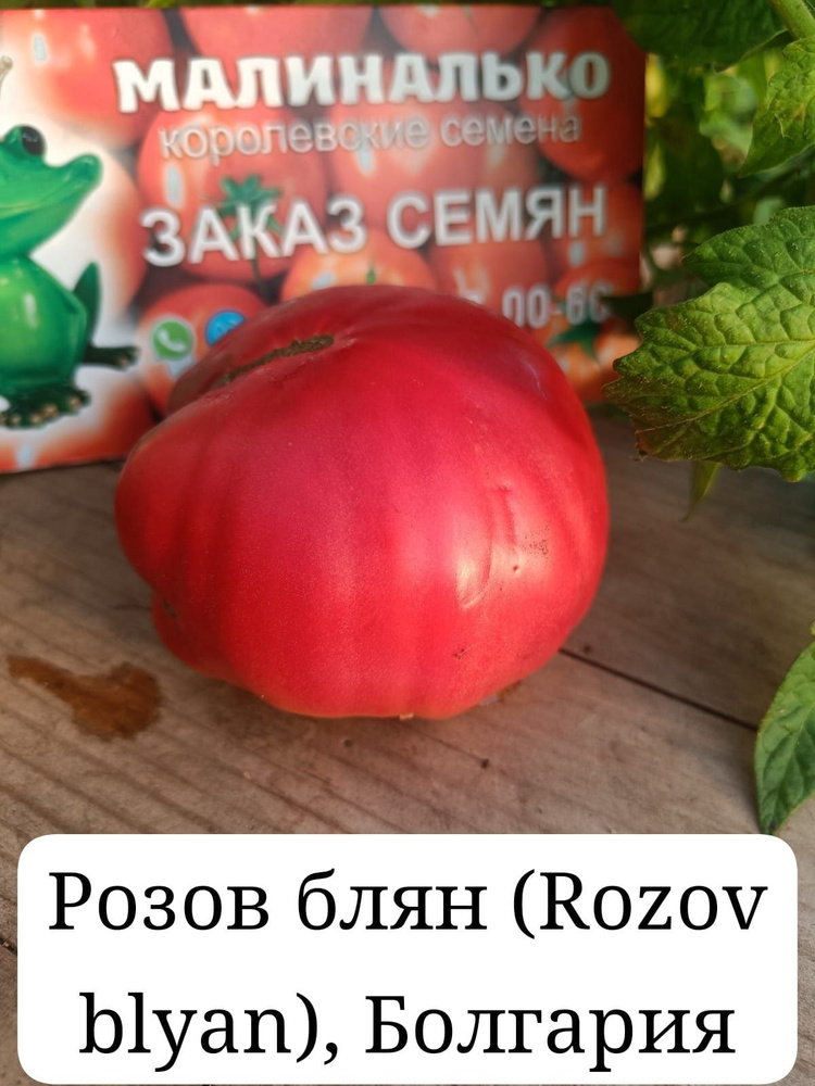 Семена #1