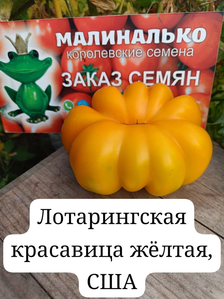 Семена #1