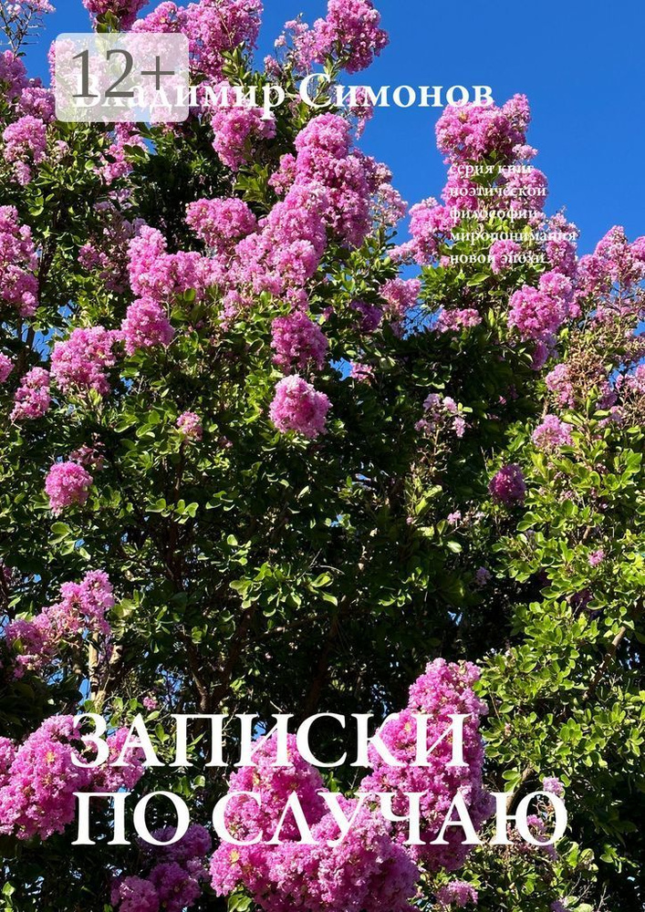 Записки по cлучаю. Серия книг поэтической философии миропонимания новой эпохи | Симонов Владимир #1