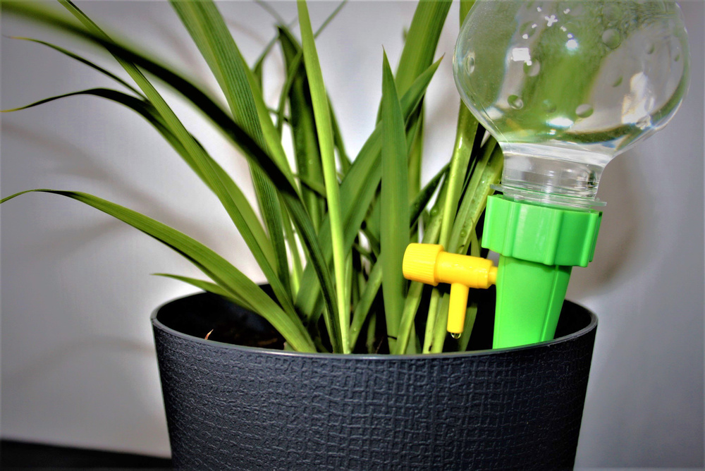 Система капельного автополива для комнатных растений с регулировкой  скорости полива (10 шт) Зеленый - купить по низкой цене в интернет-магазине  OZON (827171434)