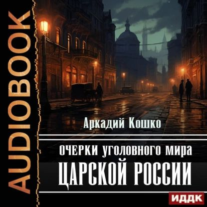 Очерки уголовного мира царской России | Кошко Аркадий Францевич | Электронная аудиокнига  #1