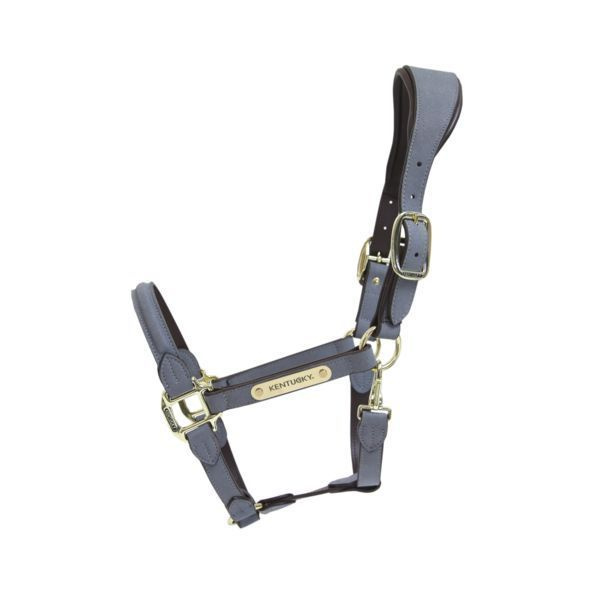 Сади Уэст порно