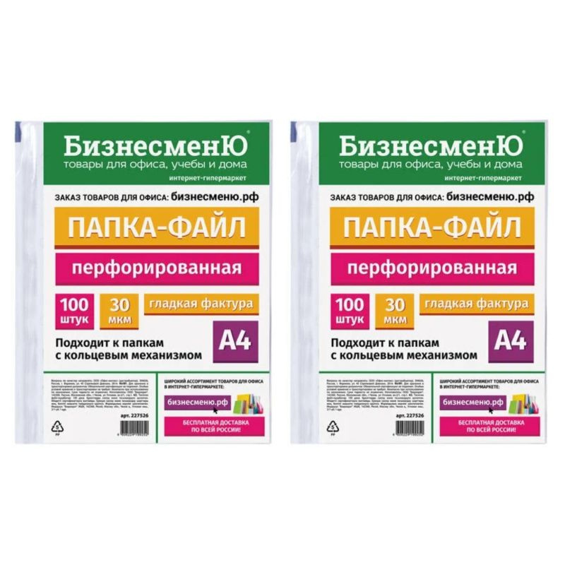 Папка-файл перфорированная А4, БизнесменЮ, 30 мкр, гладкая, 2 уп по 100 шт  #1