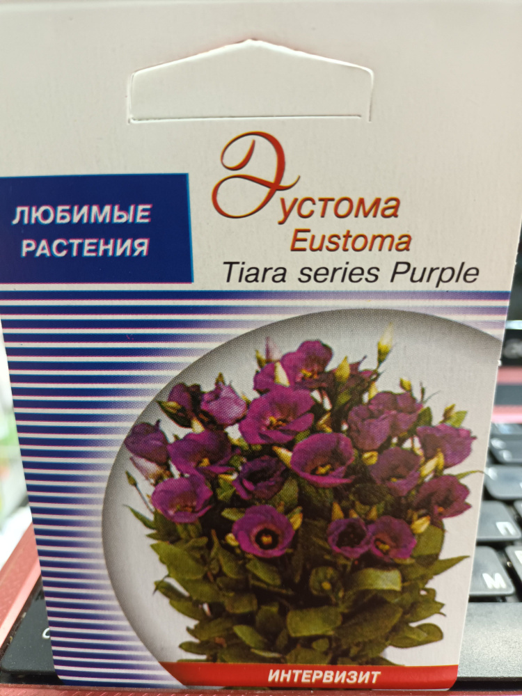 Эустома Tiara series Purple семена #1