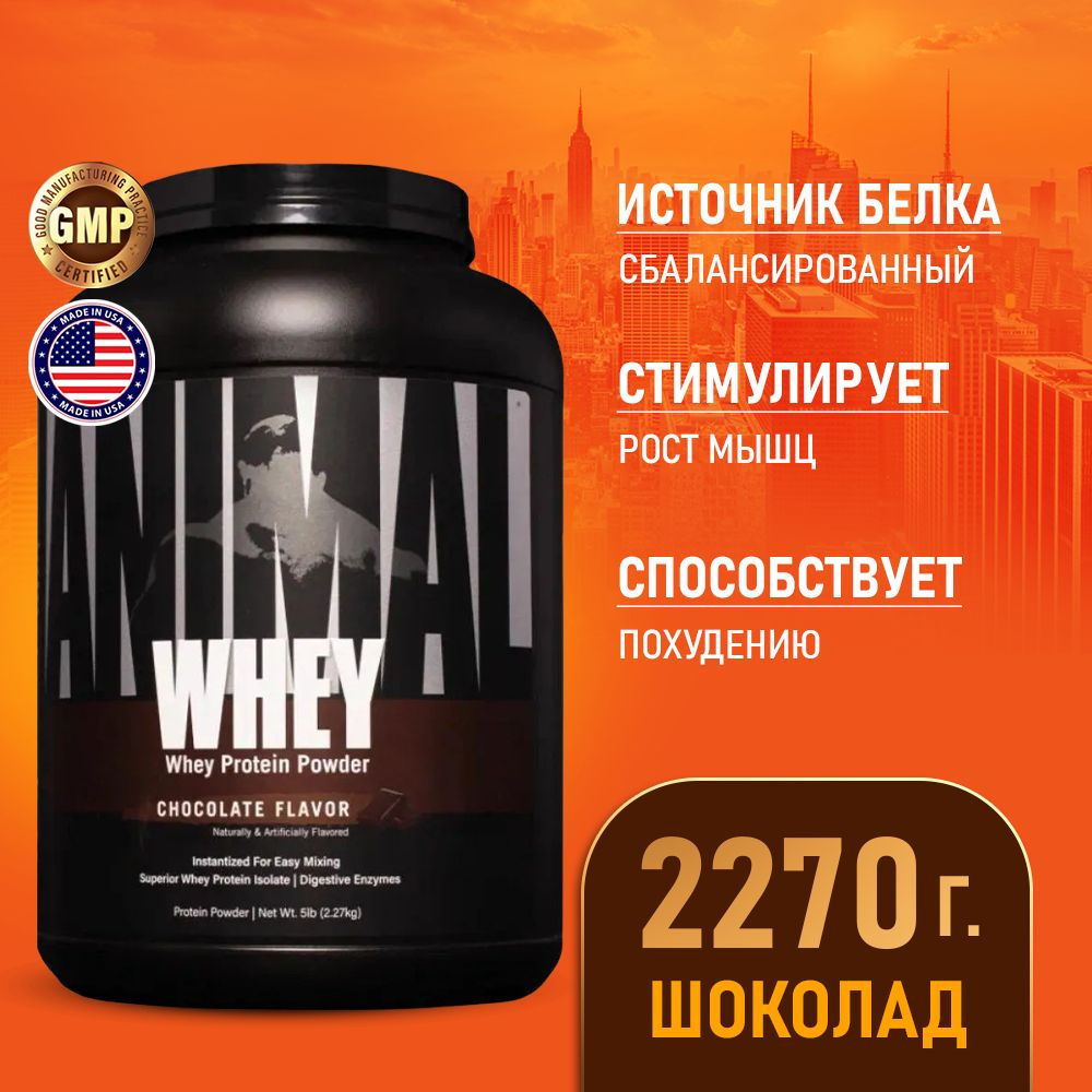 Протеин 2270 г со вкусом Шоколад, Universal Nutrition Animal Whey, Для ...