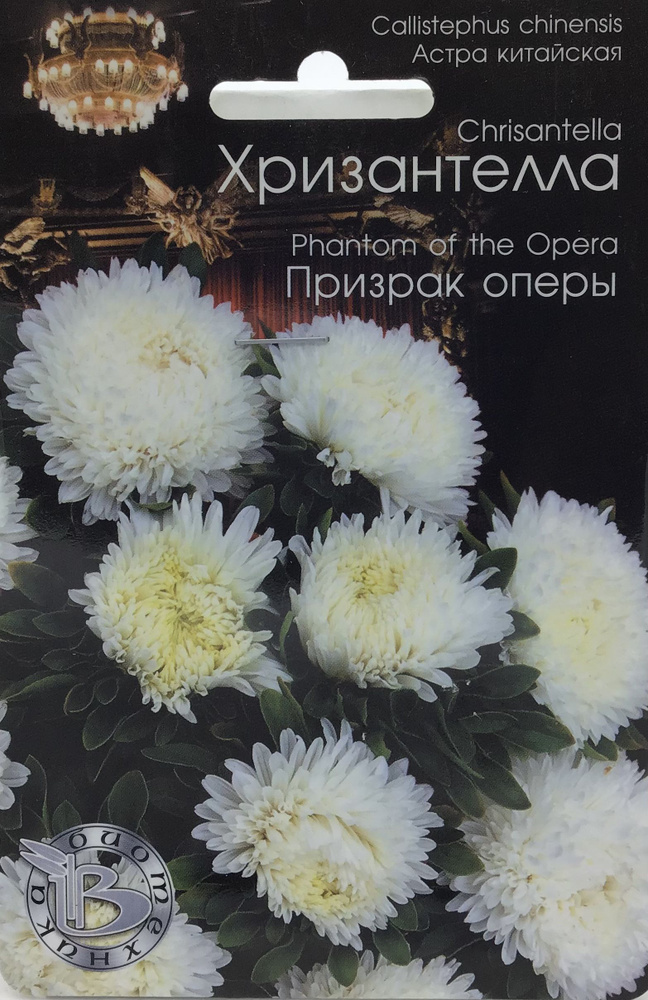 Биотехника Астра китайская Хризантелла Призрак оперы - купить по ...
