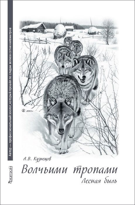 Раскраска волк медведь лиса заяц - 66 фото