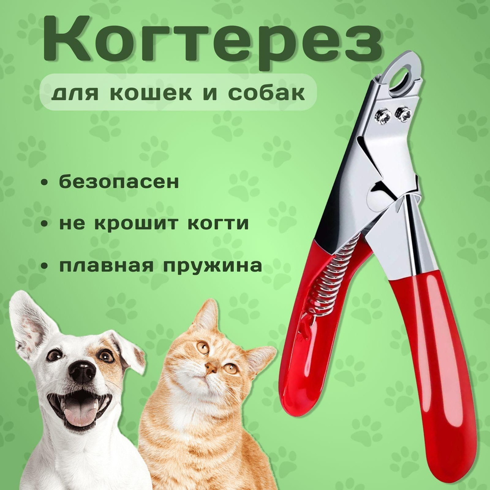 Когтерез для кошек и собак / когтерез для животных #1