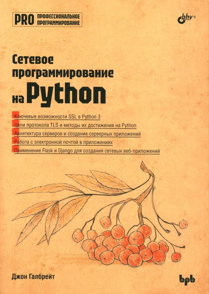 Сетевое программирование на Python #1