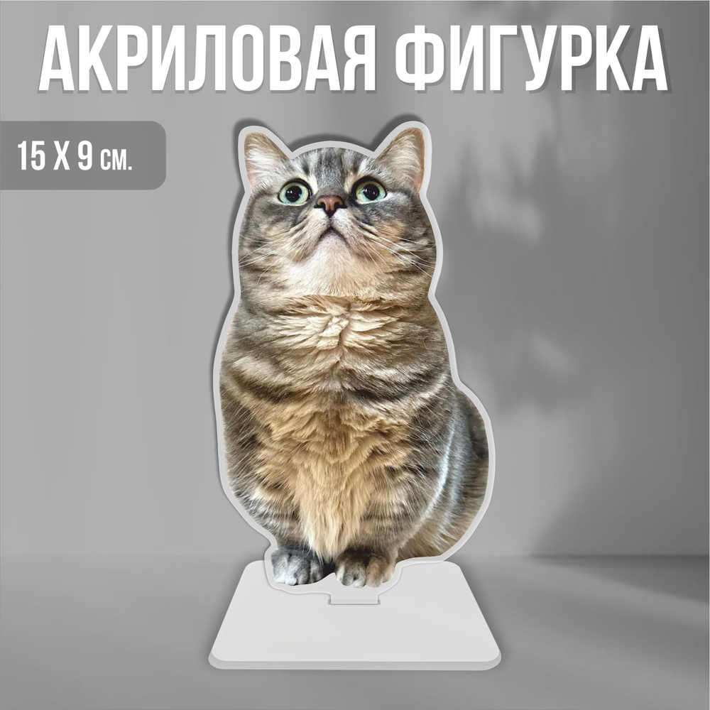 Акриловая фигурка декоративная / статуэтки для интерьера Cocoa Cat Кот  Кокоа мем