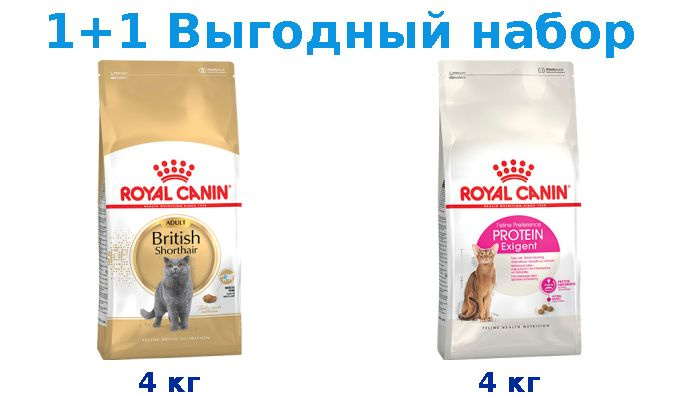 Сухой корм Взрослые, Royal Canin Breed cat British Shorthair 4 кг + Взрослые, Royal Canin Exigent Protein #1