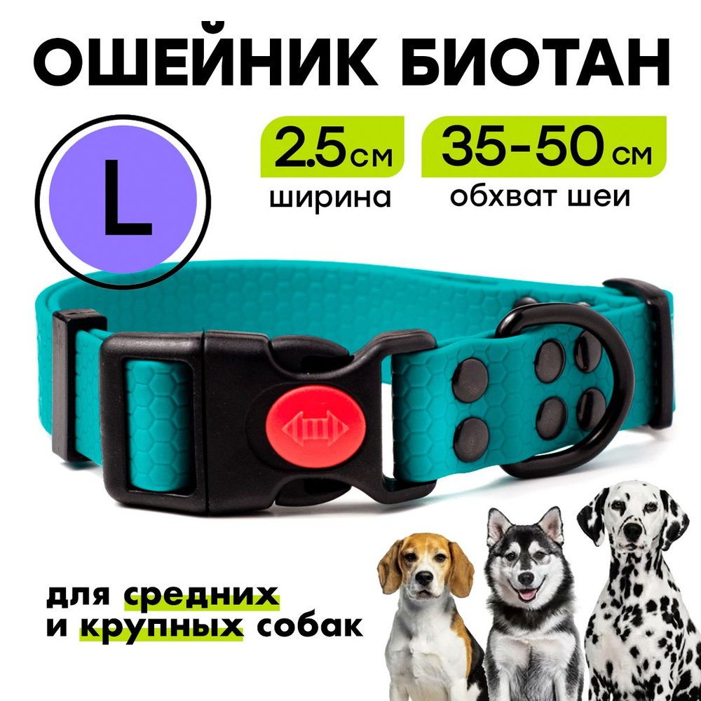 Ошейник биотановый 35-50 см (L), 25 мм, Woofy "Iron" водостойкий, для средних и крупных собак, бирюзовый #1