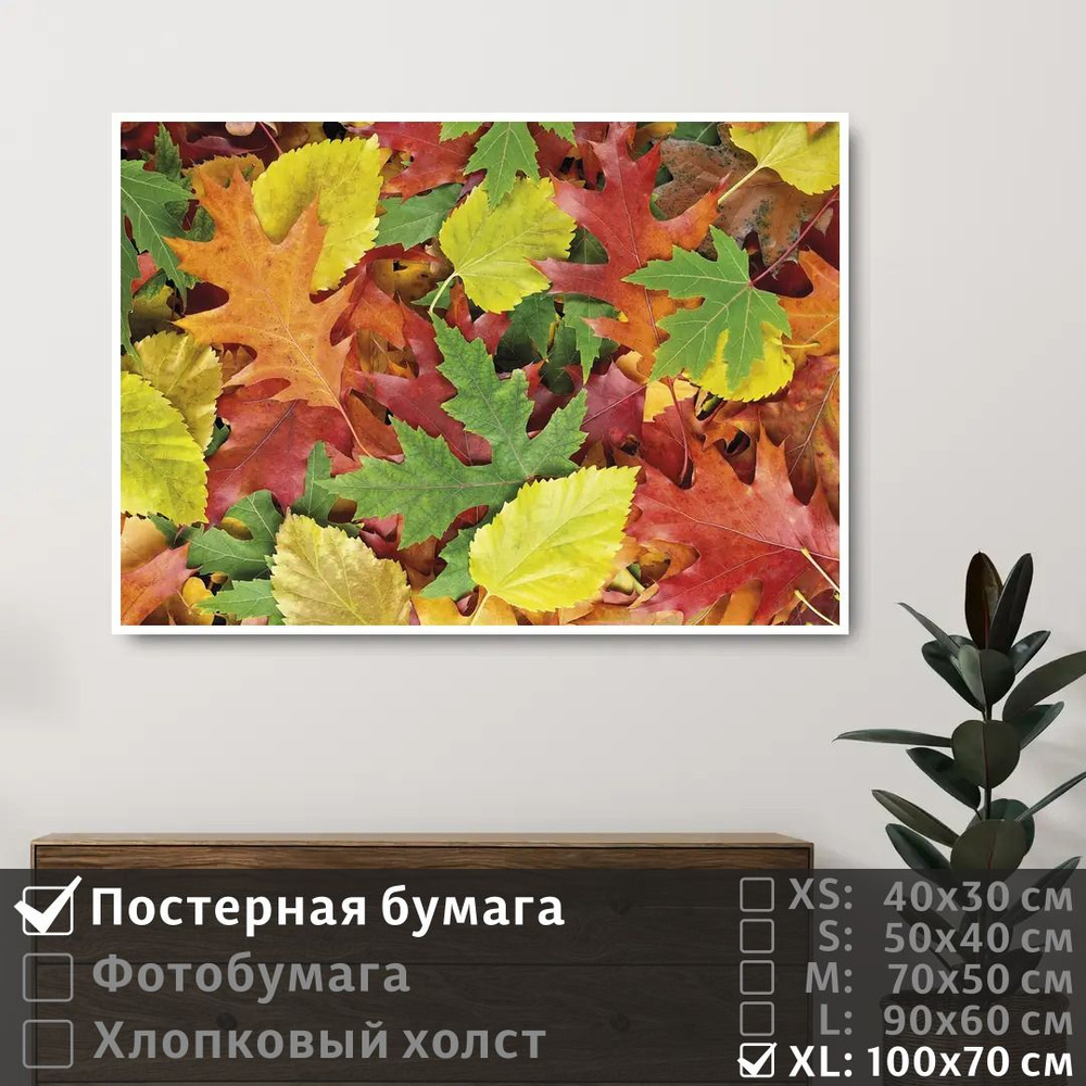 Постер на стену Осенние Красочные Листья 100х70 см ПолиЦентр #1