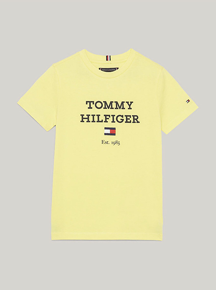 Футболка Tommy Hilfiger #1