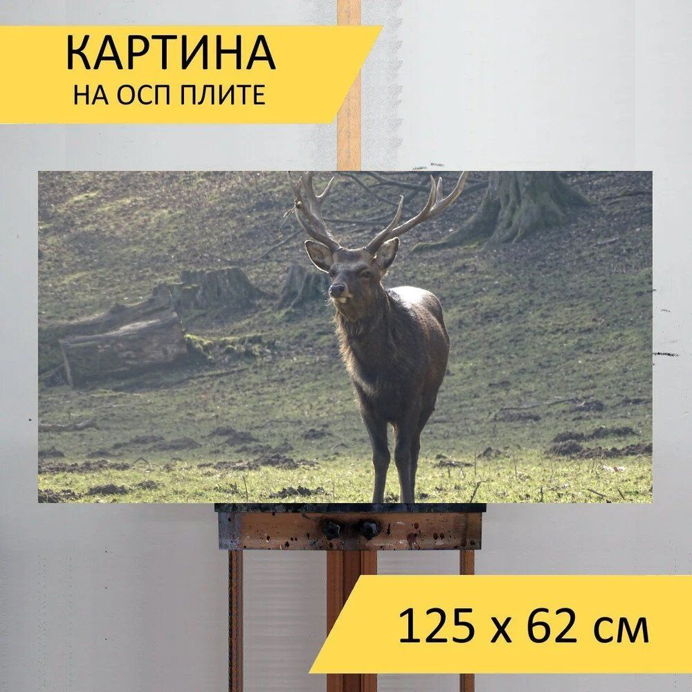 LotsPrints Картина "Олень, парк дикой природы, бесплатно олень 06", 125  х 62 см #1