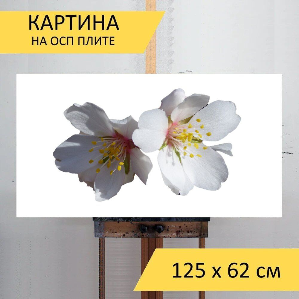 Картина цветов 