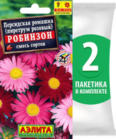 Ромашка (пиретрум): персидская, кавказская, далматская. Где купить? Как вырастить?