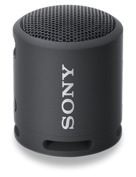 Sony store srs x821