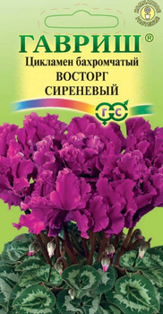 Карликовая Персидская Сирень – купить в интернет-магазине OZON по выгодной цене