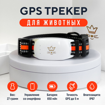 SportDOG GPS Tracker TEK 1.0 с функцией электро ошейника, для собак весом более 3,6 кг, до 11 км.