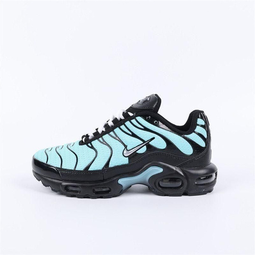 Nike air best sale max plus zn