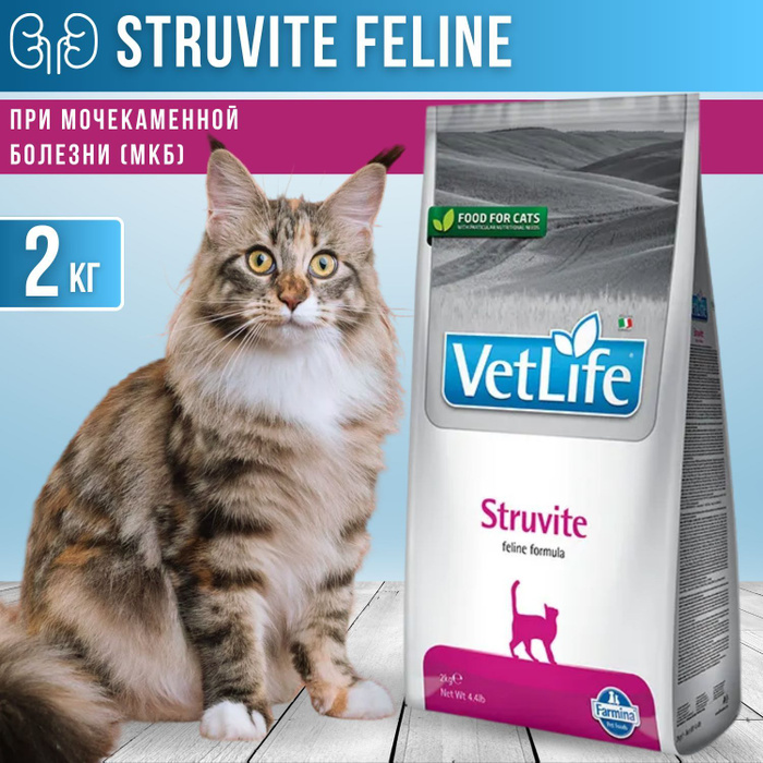 Farmina struvite для кошек 2 кг. Farmina Struvite для кошек. Vet Life 10 кг Farmina Cat Struvite сухой. Фармина Струвит для кошек состав.