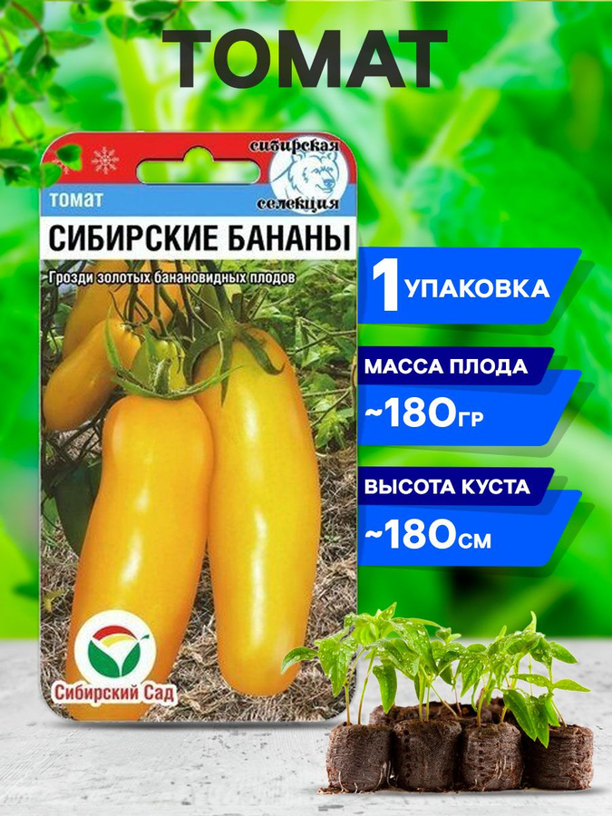 Сибирские бананы отзывы. Томат золотая гроздь. Сорт томатов банановые ноги. Сибирские бананы отзывы. Томат сибирские бананы 20шт.