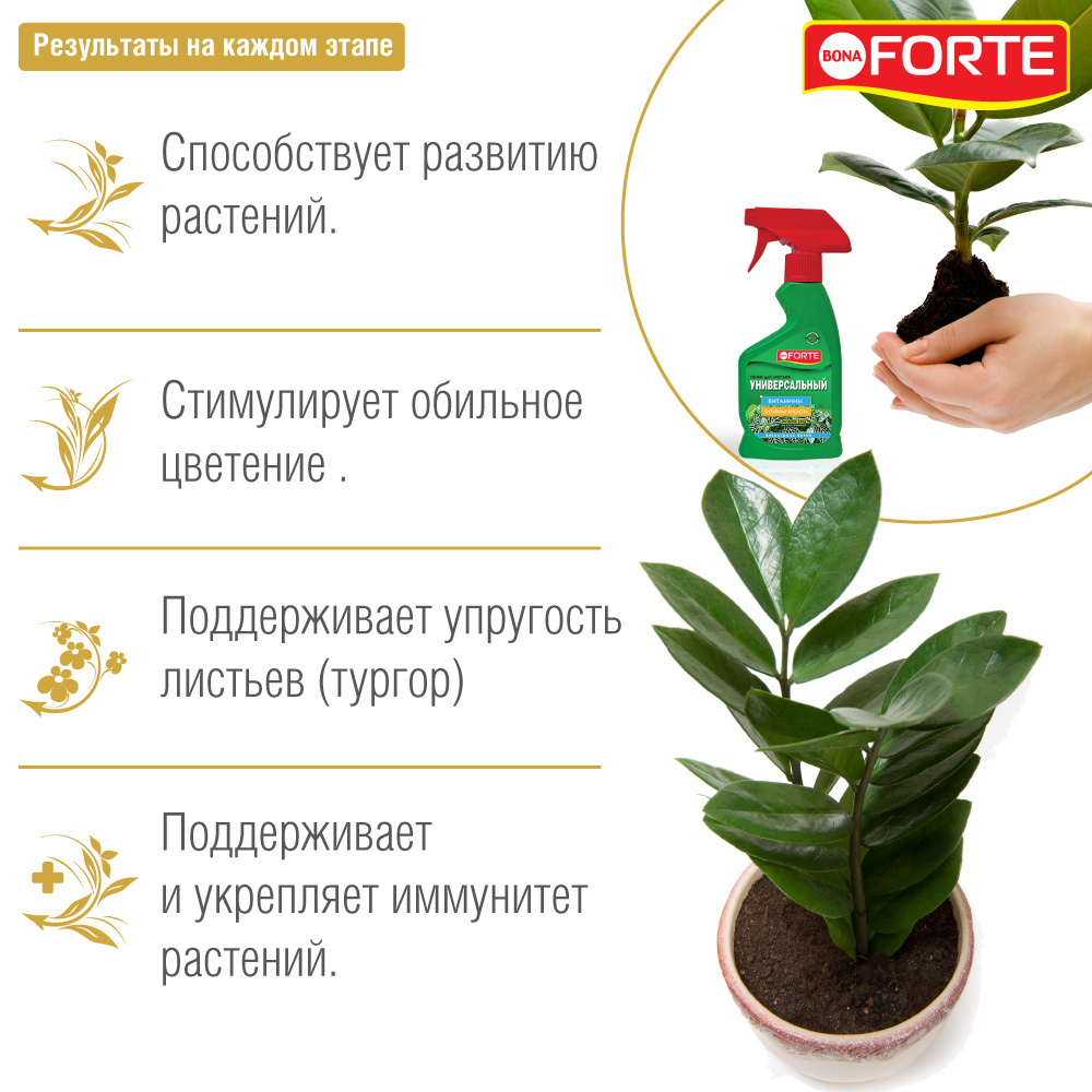• Увлажняет и питает листовые пластины.  • Поддерживает упругость листьев (тургор).  • Уменьшает оседание пыли.  • Поддерживает и укрепляет иммунитет растений