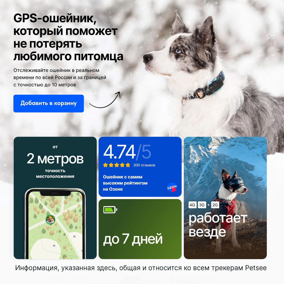 GPS-трекер для питомца Petsee ICaty, с Beidou, GPS, USB купить по ...