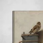 Птица щегол картинки