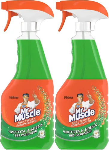 Mr. Muscle Чистящее средство, для стёкол и поверхностей, со спиртом, с курком, 500 мл 2 штуки