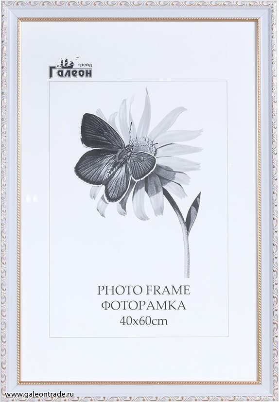 Фоторамка 40 х 60 см, 10036-3 Фоторамка 40 х 60 см, 10036-3