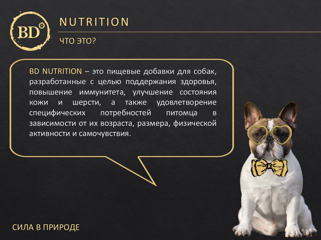 Витамины для собак BD Артрофит профилактика заболеваний суставов 60 капс  - купить с доставкой по выгодным ценам в интернет-магазине OZON (1159706688)