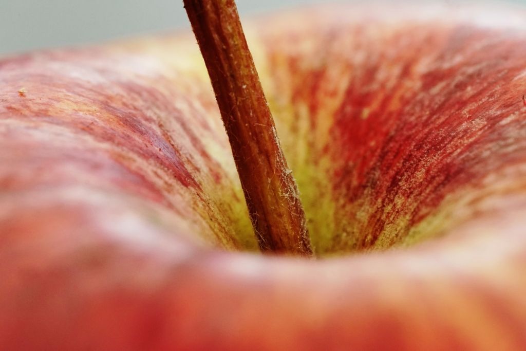 X macro