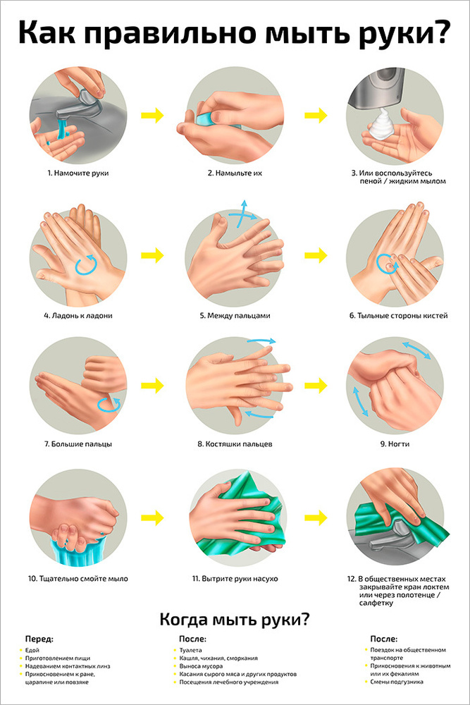 Плакат обучающий А2 ламинир. Как правильно мыть руки развивающий 457x610 мм  - купить с доставкой по выгодным ценам в интернет-магазине OZON (208857085)