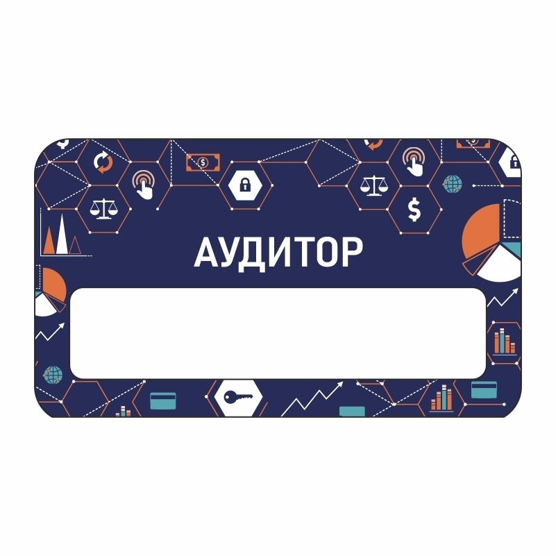 Бейдж "Финансы Аудитор" 70х40 мм 1 шт горизонтальный / бейджи / бейджики на магните / бейджик магнитный #1
