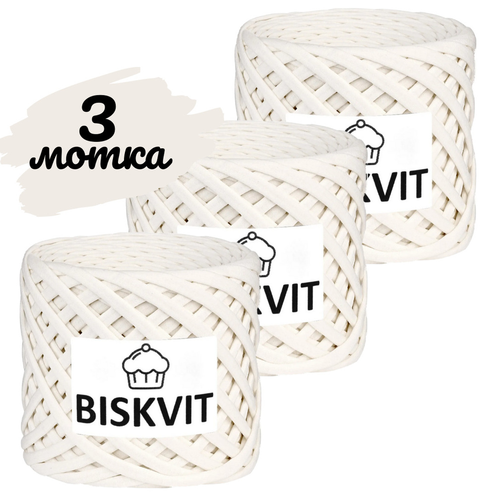 Трикотажная пряжа Biskvit пломбир, 100м., лицевая,3шт. (бисквит)  #1