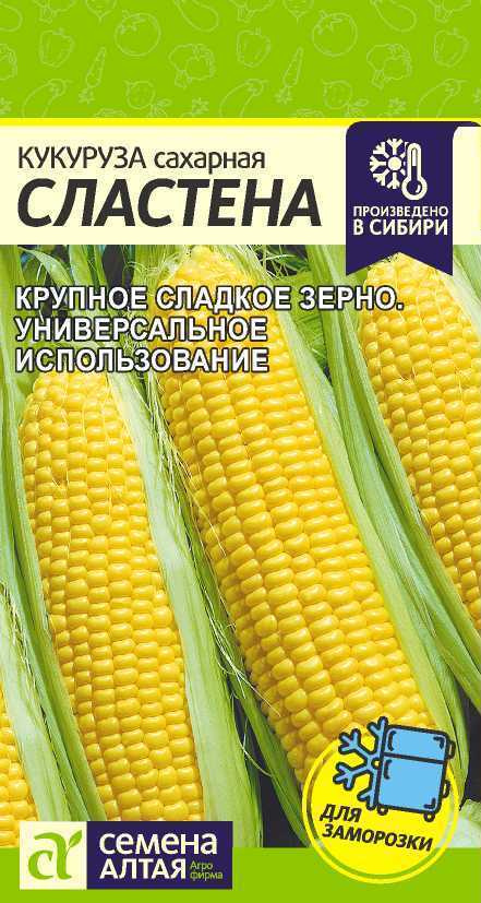 Семена Кукуруза Сластена (5 гр) - Семена Алтая #1