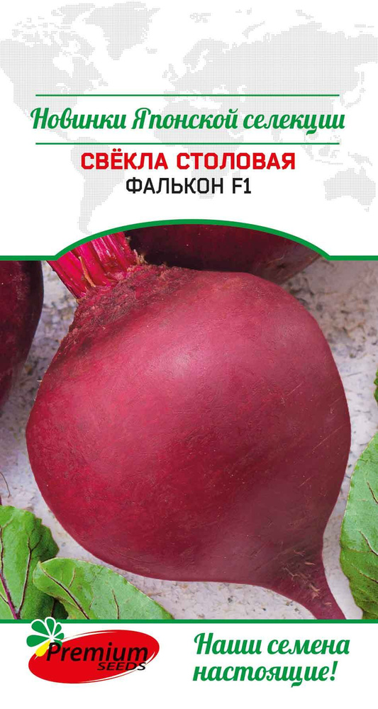 Свекла столовая ФАЛЬКОН японская селекция (Семена ПРЕМИУМ СИДС, 0,5)  #1