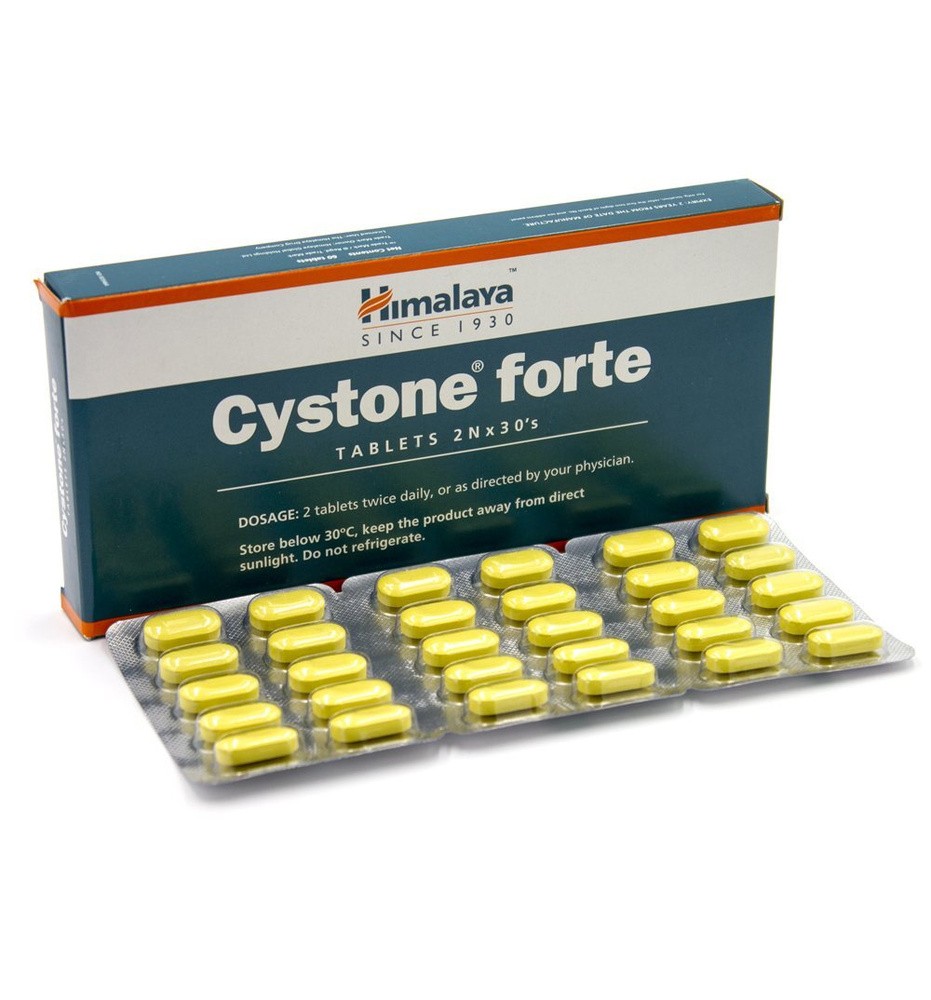 Cystone Forte/Цистон Форте, для здоровья мочеполовой системы, 60 шт. -  купить с доставкой по выгодным ценам в интернет-магазине OZON (835390019)