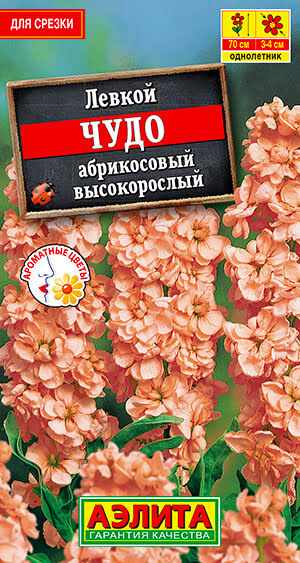 Семена Левкой высокорослый Чудо Абрикосовый (0,1г) - Аэлита #1