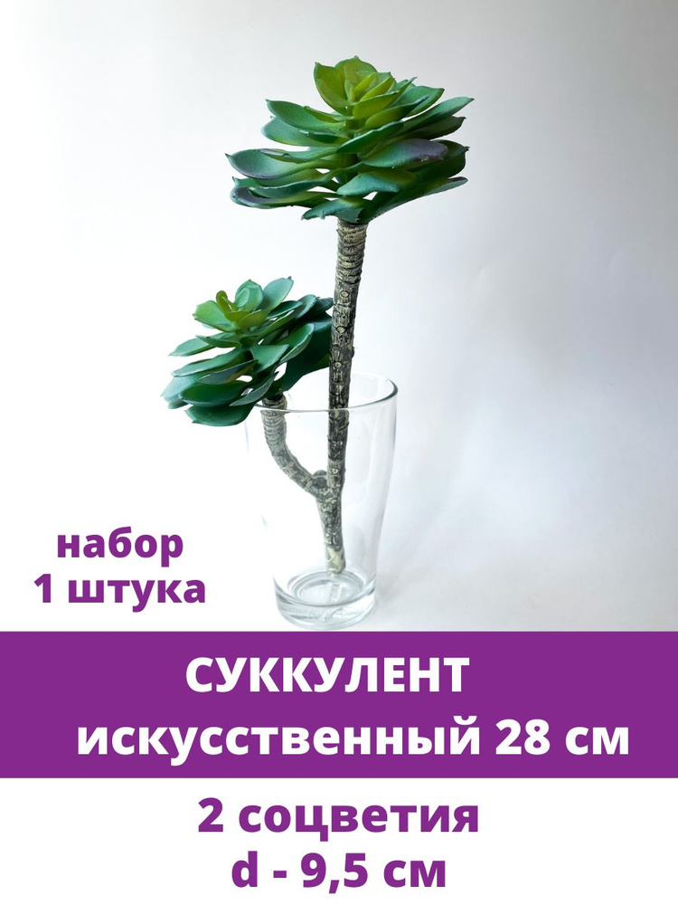 Суккулент, Искусственная зелень, букет 28 см, 2 соцветия, набор 1 букет  #1