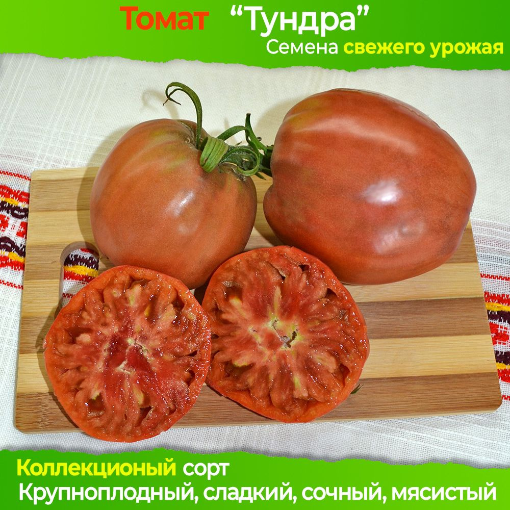 Семена томата Тундра - коллекционный сорт #1