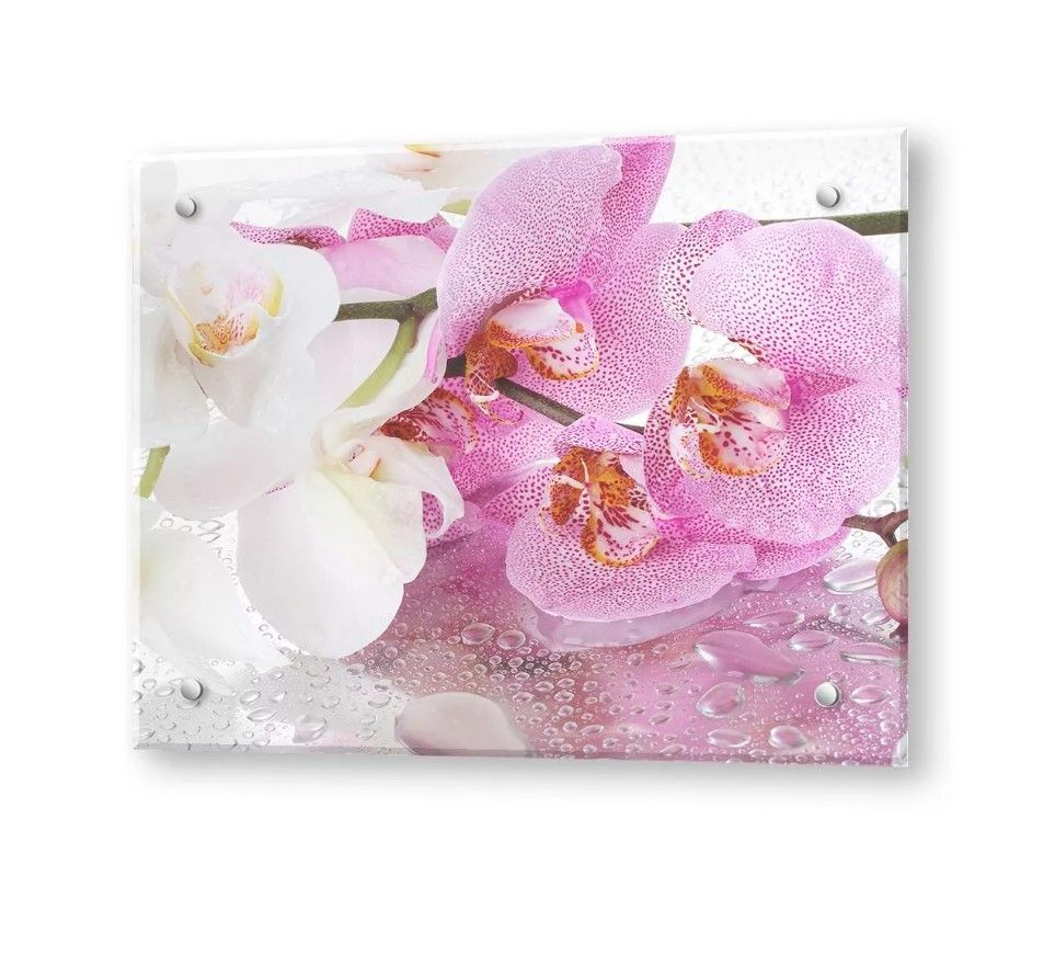 Защитное закаленное стекло для фартука на кухню. Защитный кухонный ...