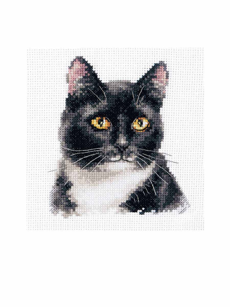 Набор для вышивания Черный кот () – купить в Москве | paraskevat.ru