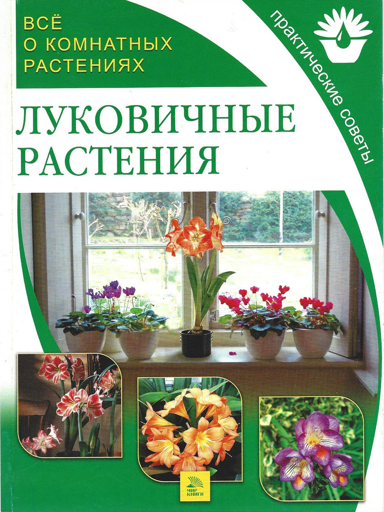 Все о комнатных растениях. Луковичные растения - купить с доставкой по ...