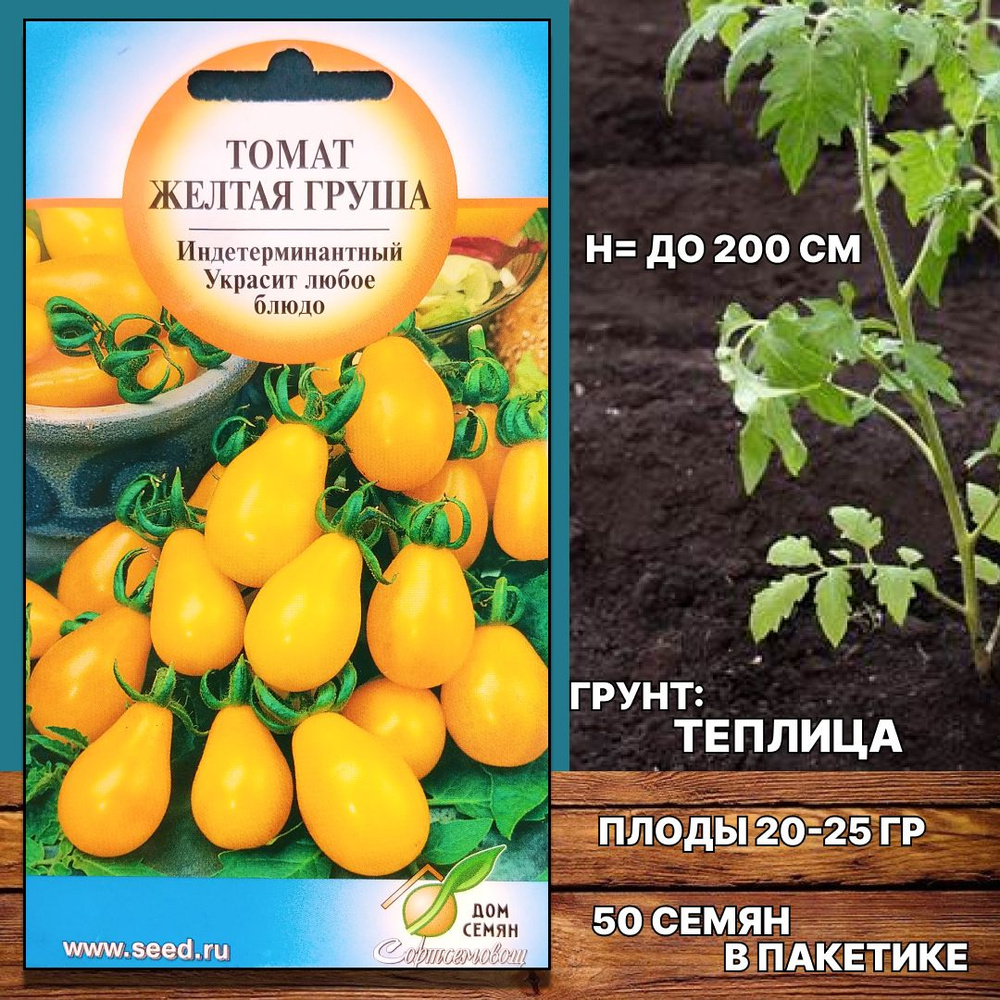 томаты желтые описание сорта фото отзывы