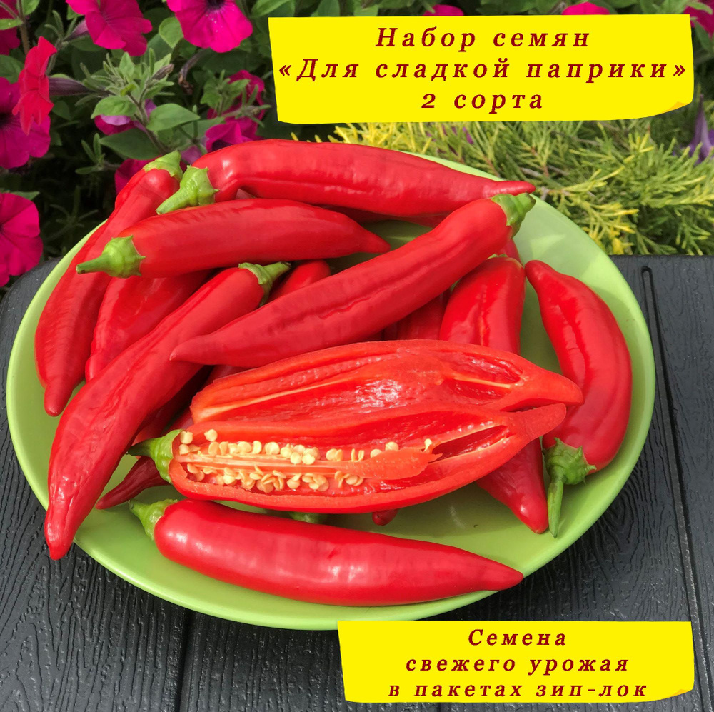Баккатум 455. Баккатум 455